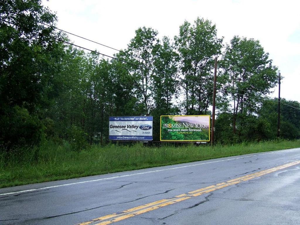Photo of a billboard in Morton