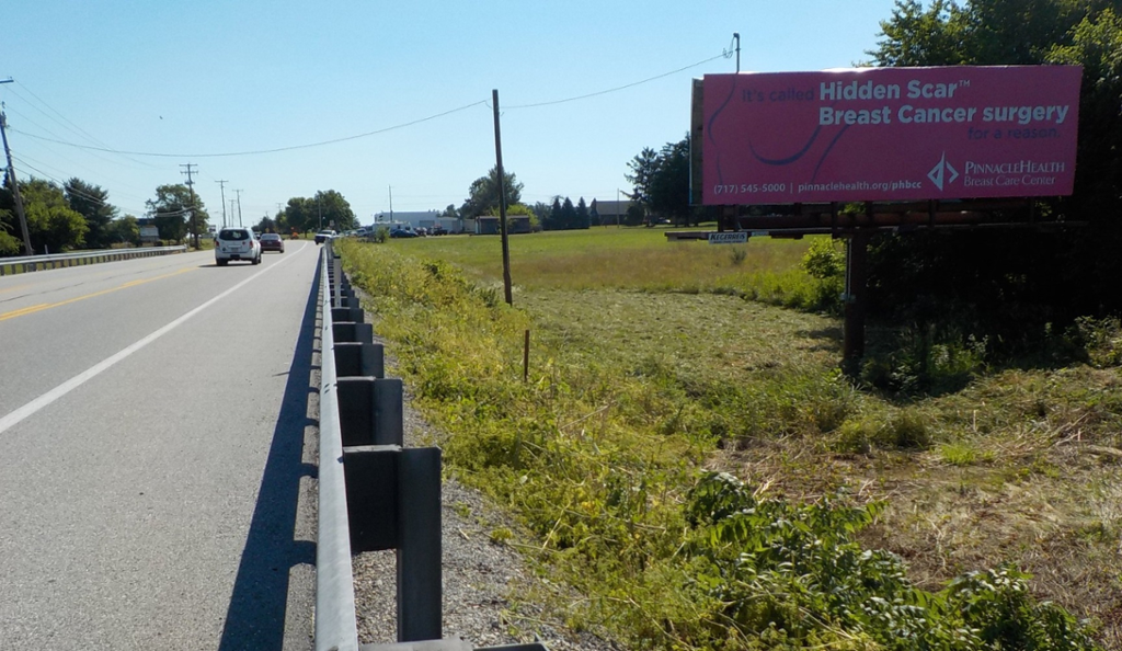 Photo of a billboard in Thomasville