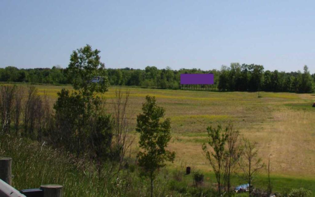 Photo of a billboard in Chippewa Lake