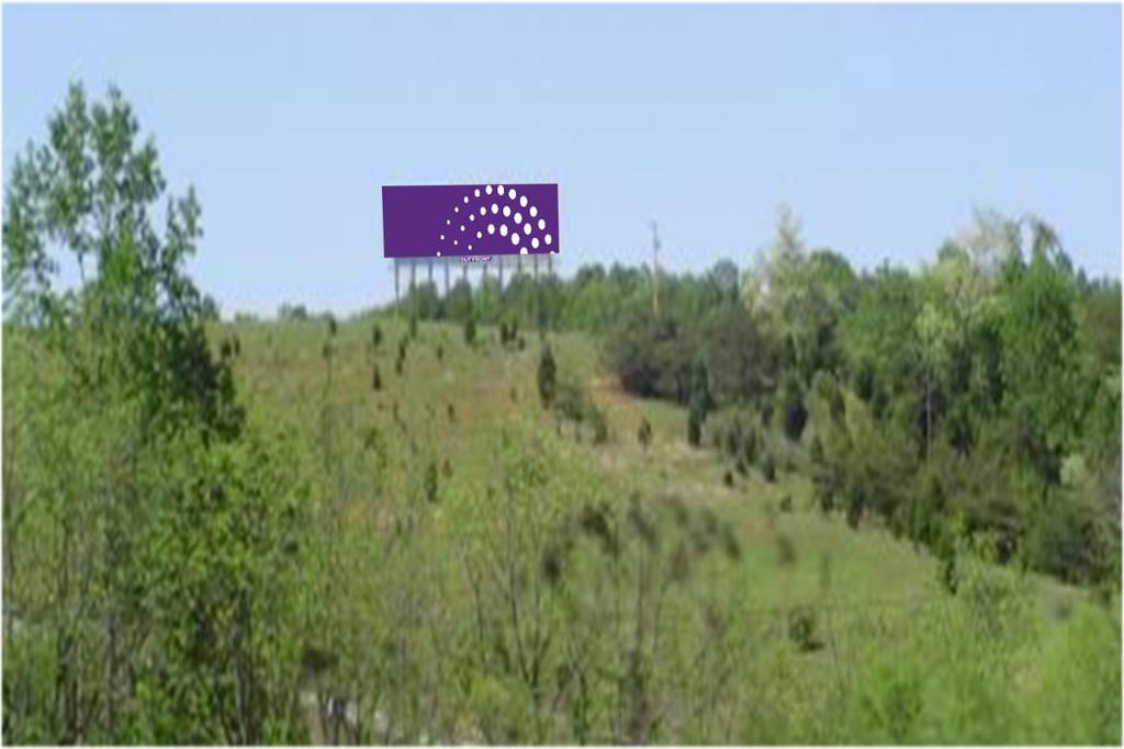 Photo of a billboard in Copper Hill