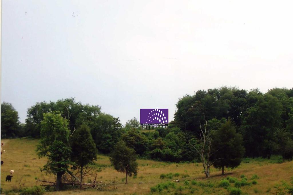 Photo of a billboard in Shady Valley