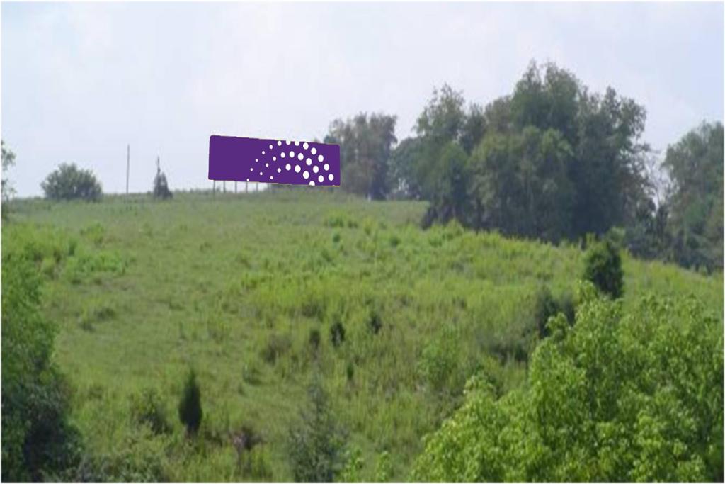 Photo of a billboard in Laurel Blmry