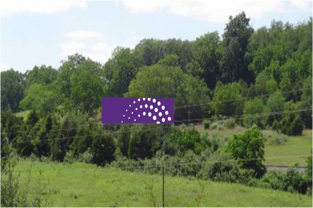 Photo of a billboard in McDowell