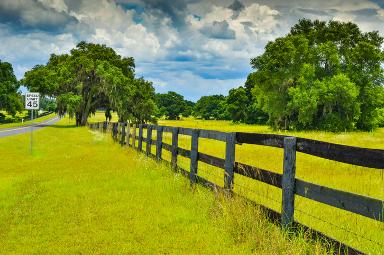 Homestead Florida billboards